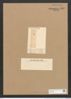 Nitzschia entomon (Ehr.) Ralfs. (de-Toni-Nr.: Genus 47, Species 2169) Zeichnungen Sammlung Grunow Nr. 4352 (NHMW-BOT-W0372398)